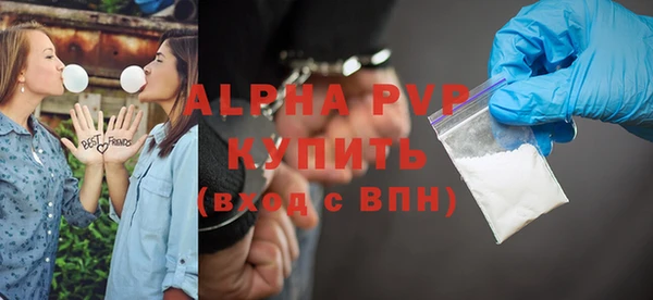 гидра Ельня