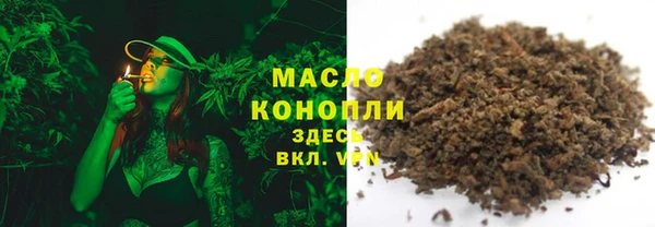 гидра Ельня