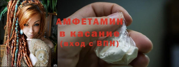 гидра Ельня