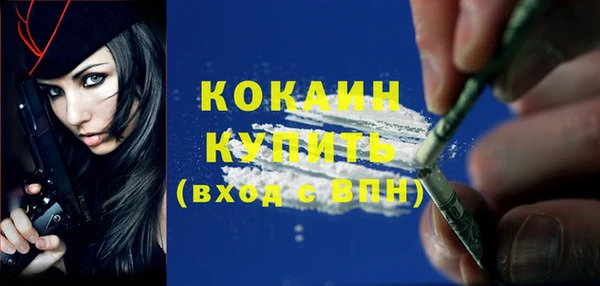 хмурый Елизово