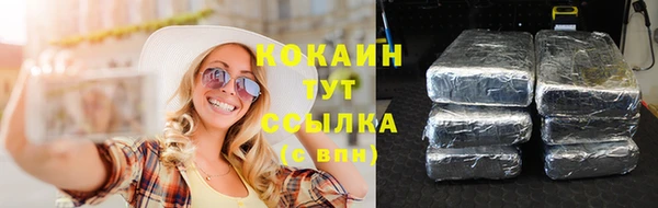 хмурый Елизово