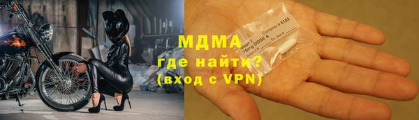 гидра Ельня