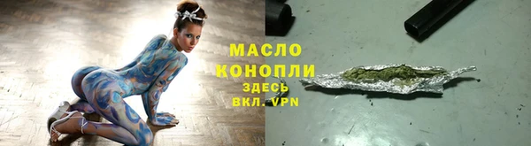 гидра Ельня