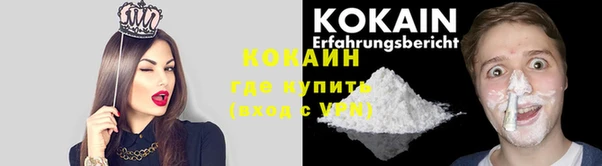 ПСИЛОЦИБИНОВЫЕ ГРИБЫ Дмитров