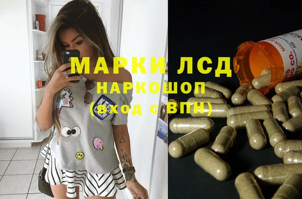 гидра Ельня