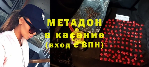 гидра Ельня